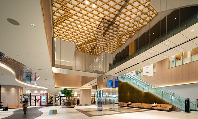 図２　ガタリウム