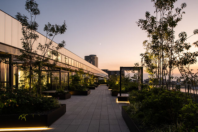 図３　屋上テラス